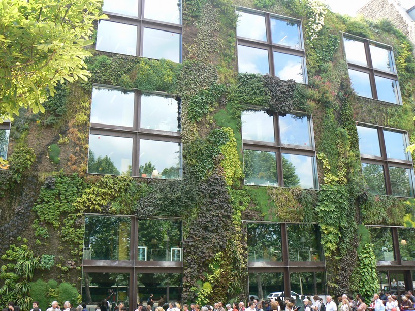le mur vegetal quai branly: exterieur musee quai branly 074
